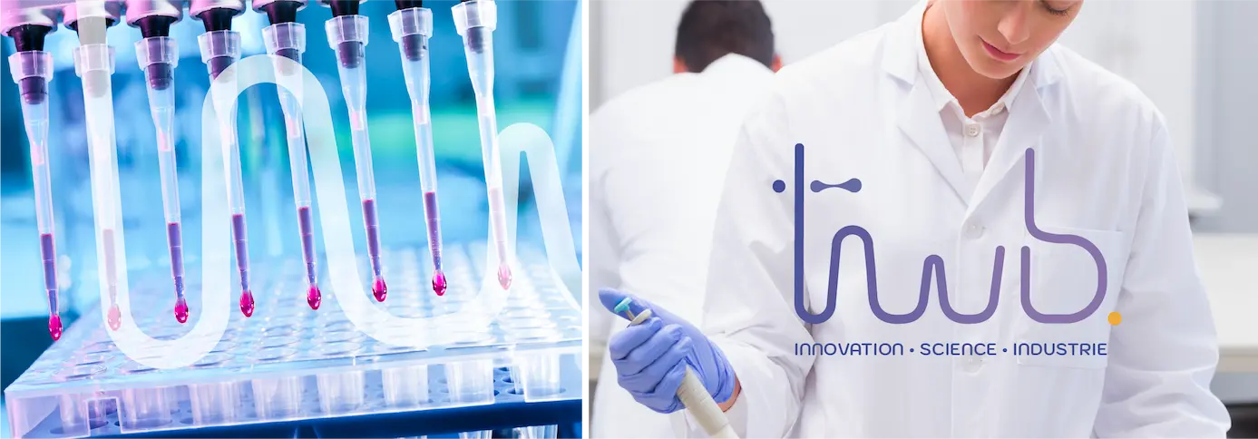 TWB logo identite visuelle TWB logo et visuel scientique